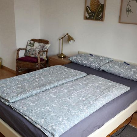 Haus Am Seerhein Apartment คอนสตานซ์ ภายนอก รูปภาพ